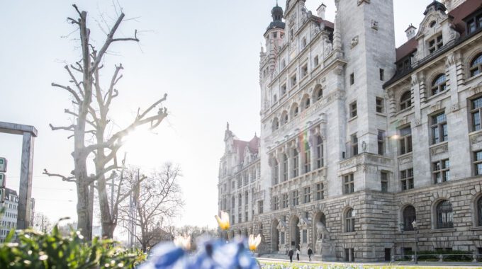 Neues Rathaus Leipzig mit Frühblühern im Vordergrund