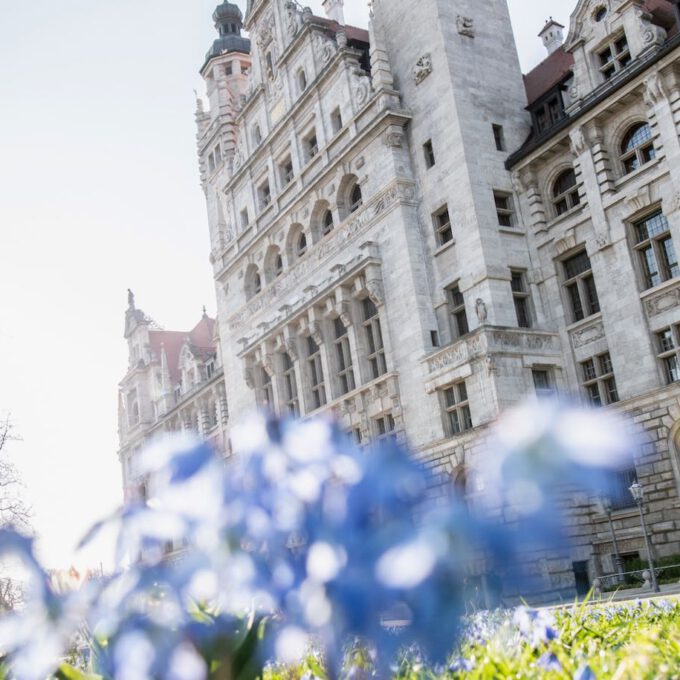 Neues Rathaus Leipzig mit Frühblühern im Vordergrund