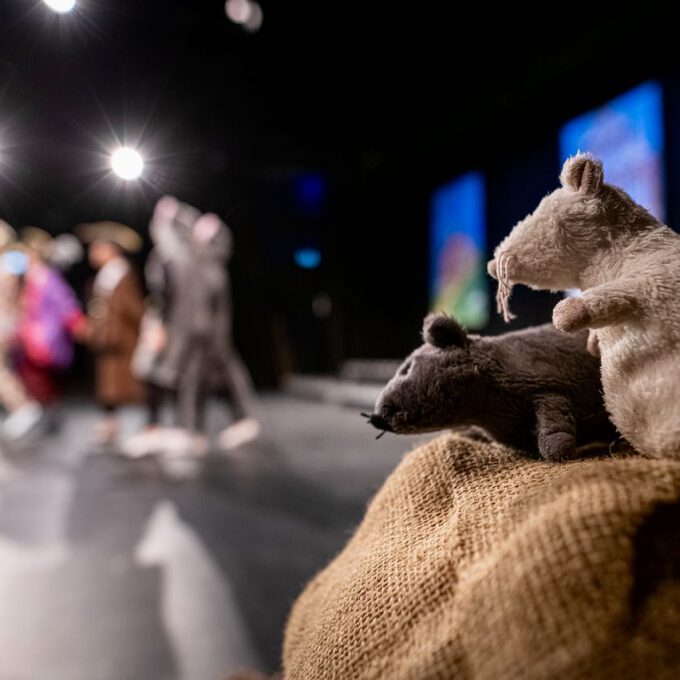 Plüschratten in der Theaterkulisse