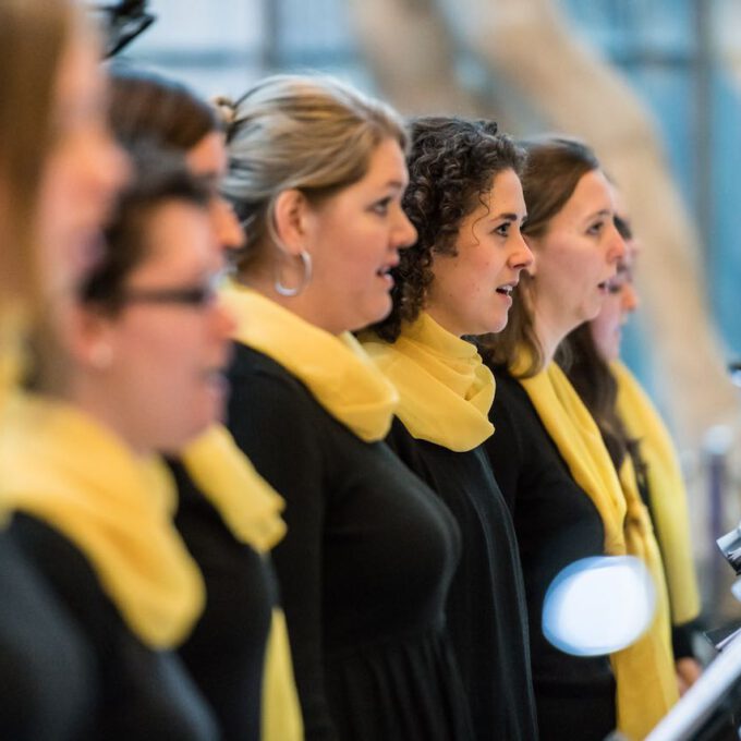 Weihnachtskonzert Des Kammerchores Der Schola Cantorum Leipzig Im Bildermuseum