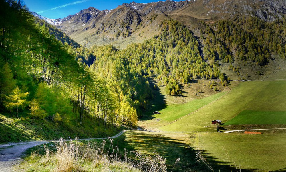 Blick von einem Hügel in ein grünes Tal