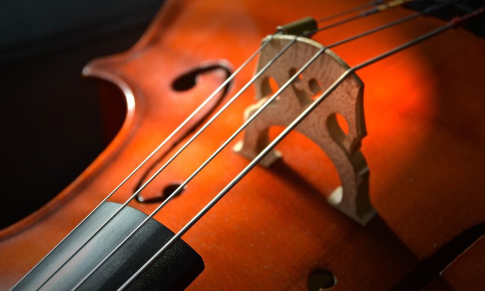 Detailaufnahme eines Cellos