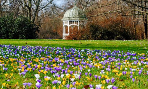 Leipziger Clara-Zetkin-Park Mit Krokussen