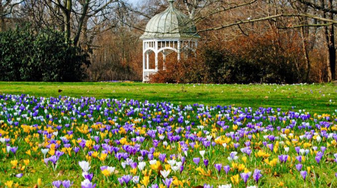 Leipziger Clara-Zetkin-Park mit Krokussen