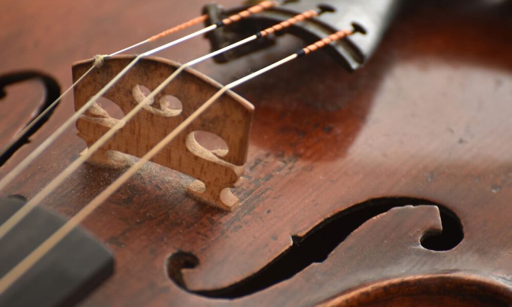 Detailaufnahme einer Violine mit Steg und F-loch