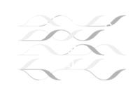 Kulturstifung Sachsen (Logo)