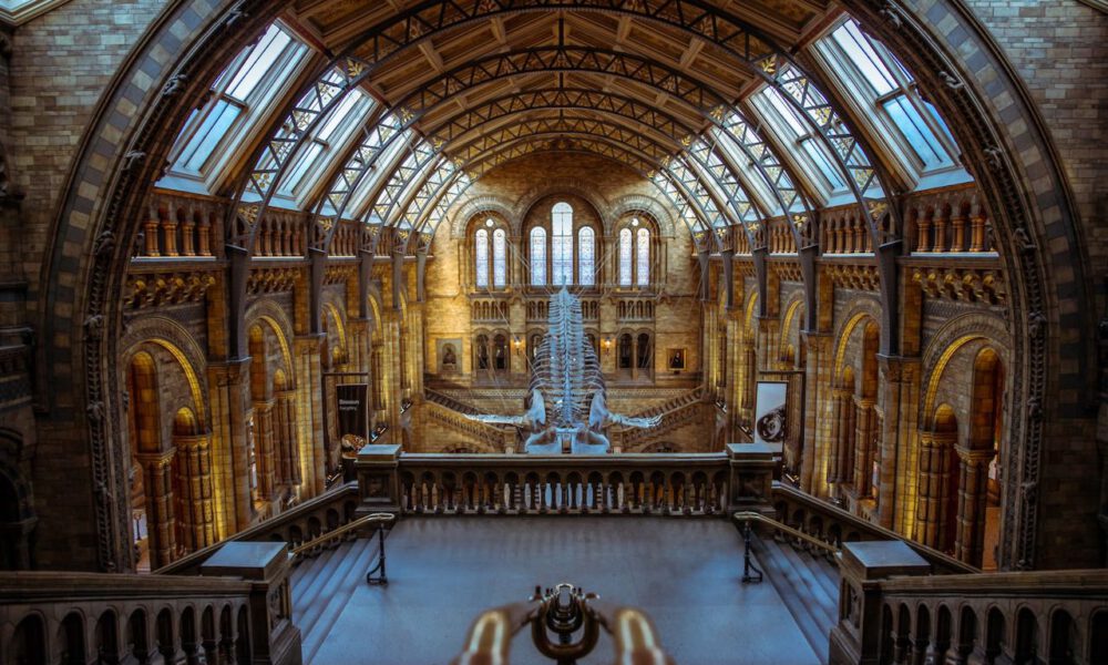 Innenansicht des Natural History Museum in London