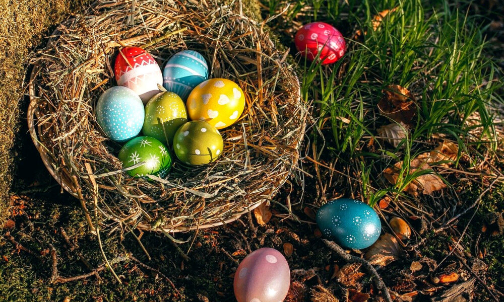 Ein Osternest mit bunten Eiern