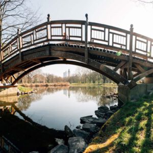 Teich Und Brücke Im Clara-Zetkin-Park