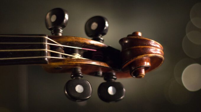 Kopf Einer Geige Mit Schnecke Und Stimmwirbeln