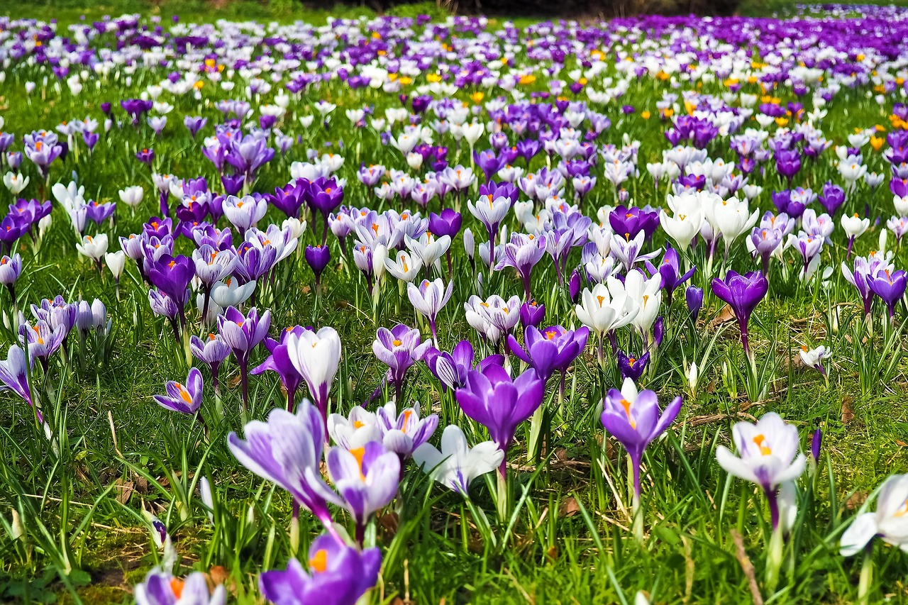 Frühlingskonzert